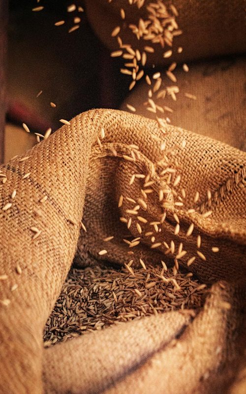 Consulenza del lavoro agricolo e agroalimentare